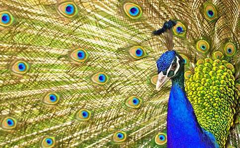 ����ȸ���Ϸɡ���ѧ���