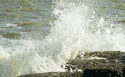 �����˻�����ѧ���