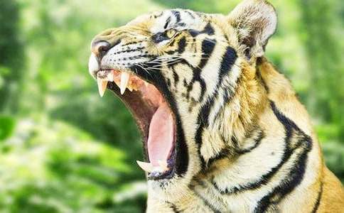 ��ֻ�ϻ��̰�