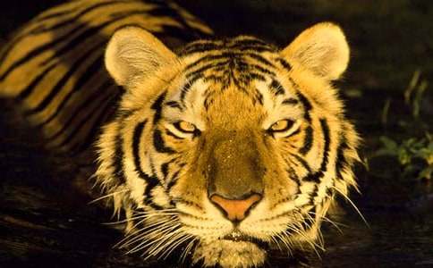 �ϻ�ĥ����ѧ��˼