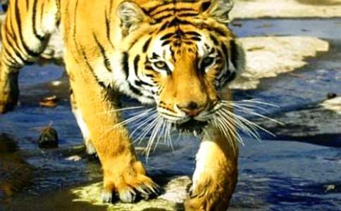 �ϻ����˽̰�