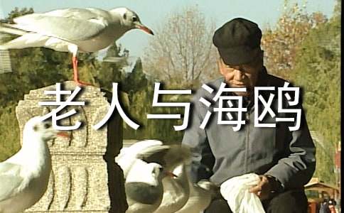 �������뺣Ÿ����ѧ��˼���ģ�ͨ��5ƪ��