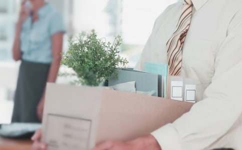 ��ְ���˹����ܽ�