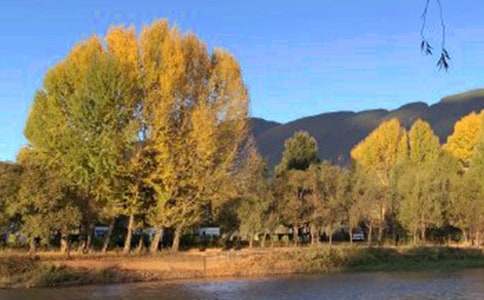 ���߽���������ѧ���