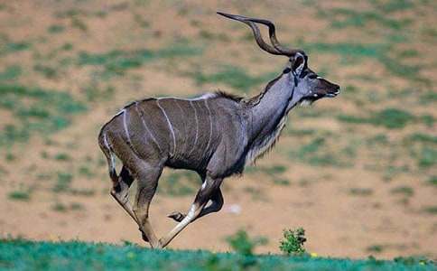 ����ľ��˵�θ�(10ƪ)