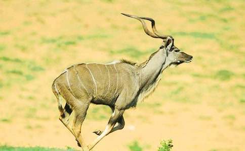 ����ľ��Ľ�ѧ��˼����ѡ7ƪ��