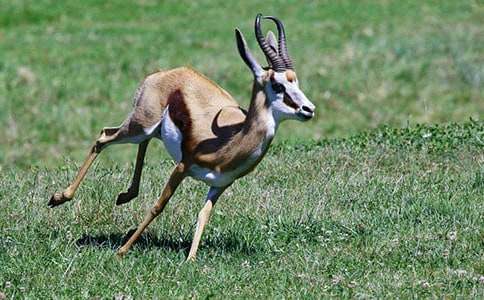 ������ľ�񡷽�ѧ��˼