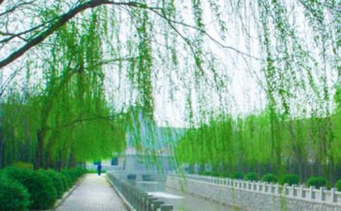 �������˽̰�(15ƪ)