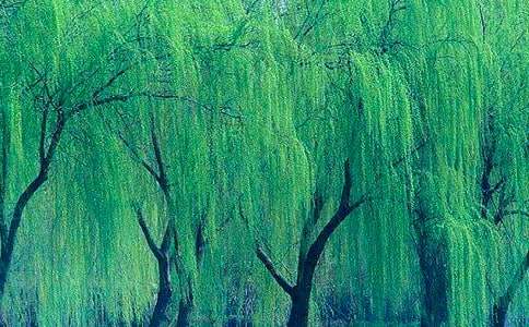 ���������ˡ���ѧ���15ƪ