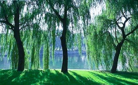 ����������̰�15ƪ