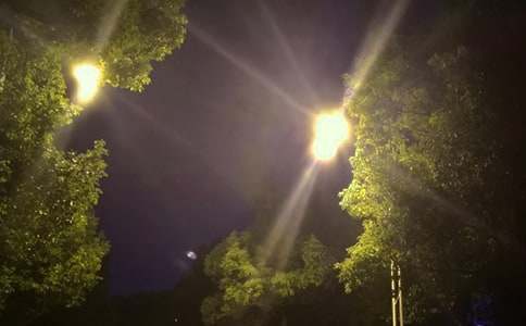 ��·�ơ�������̰�����ѡ6ƪ��