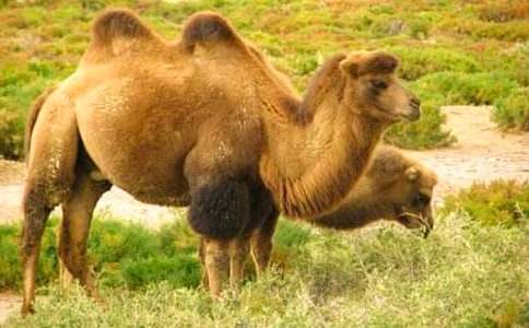 ���������ս̰�����9ƪ