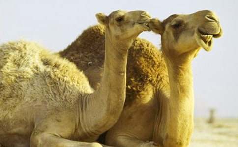 �������ա���ѧ���