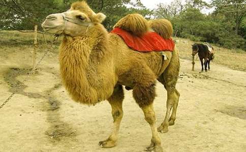 ���꼶�����ս�ѧ���