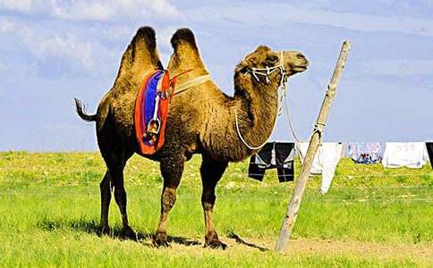 �������ա���ѧ��Ʒ���