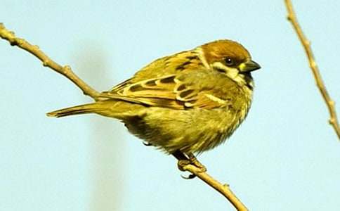 С��ȸ�Ľ�ѧ��˼14ƪ