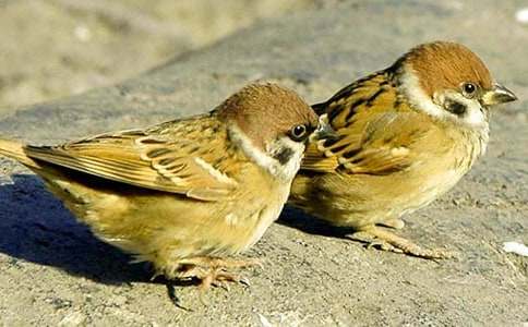 ����ȸ���ڶ���ʱ��ѧ��˼���ģ�ͨ��22ƪ��