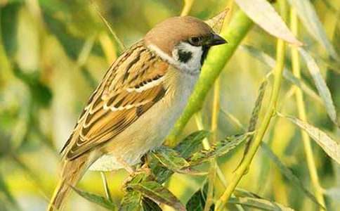 ����ȸ���ڶ���ʱ��ѧ��˼����ѡ7ƪ��