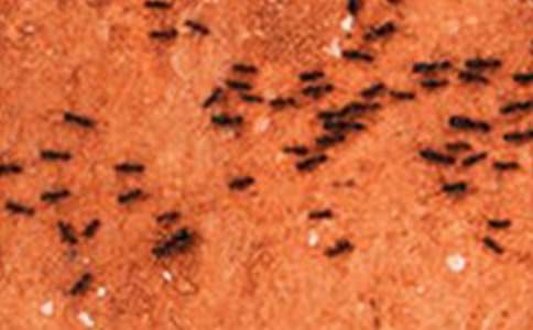 ���Ϻ������ѧ��˼