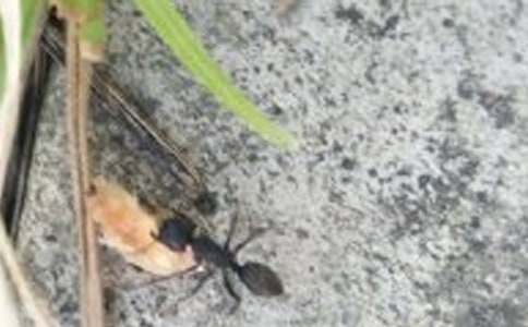 ��С���ϡ��̰����Ļ���9ƪ