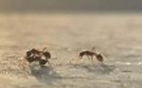 ����������ϡ���ѧ��˼