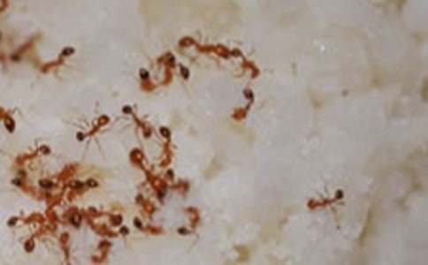 �����Ϻ����塷��˵�θ�