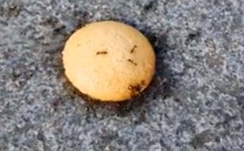 ��������Ͻ�ѧ���