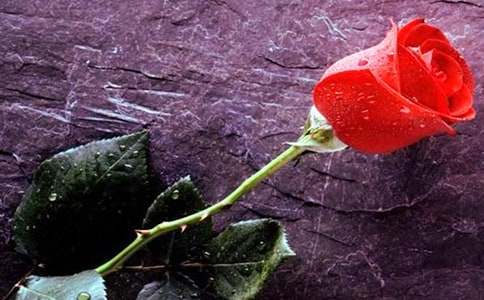 ����õ�廨��Ժ�ӳ�������̰����