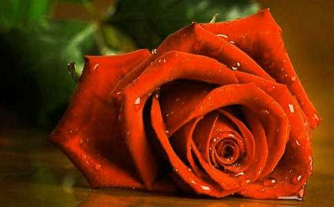 С¹��õ�廨��ѧ���[ͨ��]