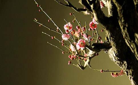 ÷�����ѧ��˼����