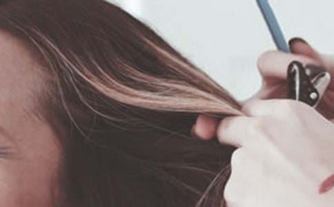 小班教案:美发师