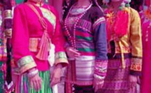 �����ǵ�����Сѧ����ѧ��ơ���ѡ15ƪ��