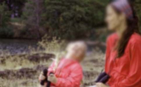 《怀念母亲》教案模板汇总六篇