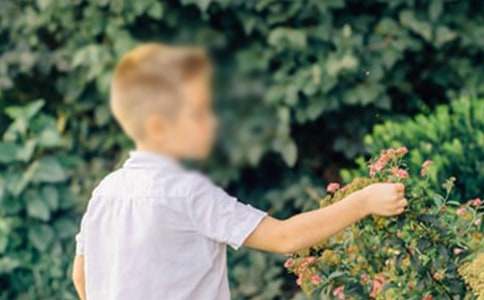 С�к�ץ�̰ܽ�