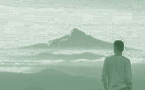 《我们家的男子汉》教案15篇