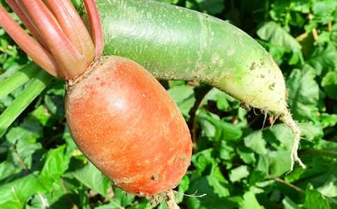 ũ���ֲ߻��顾�ϼ�6ƪ��