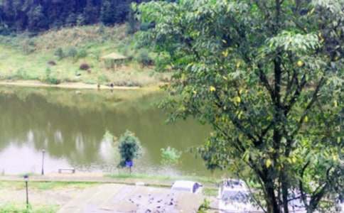 ��ѧũ���ֻ�߻���[����3ƪ]