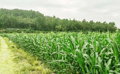 [��ѡ]ũ���ֲ߻���15ƪ