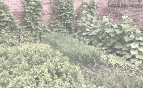 ũ����Ϲ�������ͬ