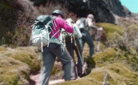 ��Ƭ���̵���ɽ����ѧ�������