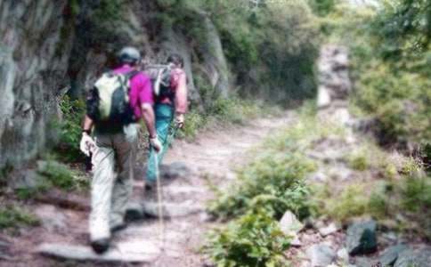 ��Ƭ���̵���ɽ����ѧ���15ƪ