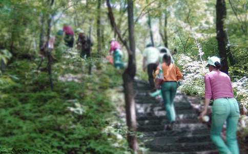 ��ɽ�̰����ĺϼ���ƪ