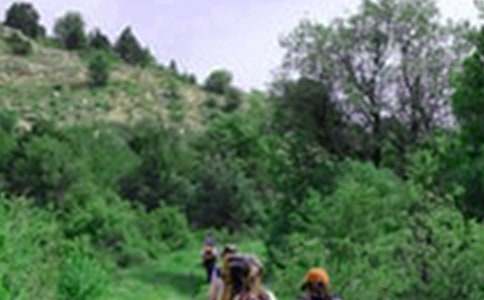 ��������ɽ���ĽŽ�ѧ��˼