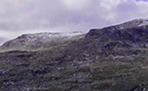 《爬山虎的脚》教学反思