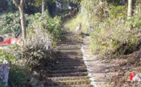 ��ɽ���ĽŽ�ѧ��ƺϼ�15ƪ