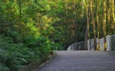 ����ɽ���Ľš��̰�(15ƪ)