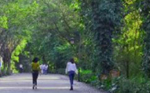 关于爬山教案范文汇编9篇