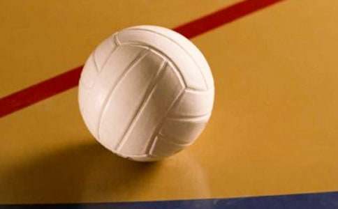 《排球》说课稿