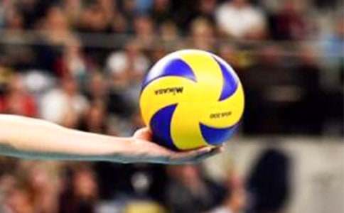 《排球》说课稿(优秀)