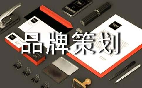 品牌策划书【精华】